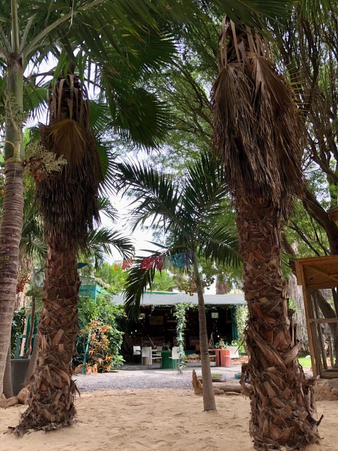 Tropical Morabeza Apartment 산타 마리아 외부 사진